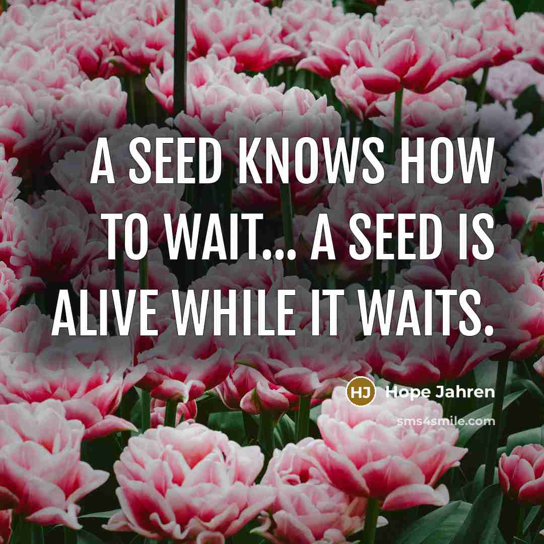 “A seed knows how to wait... A seed is alive…” quote by Hope Jahren