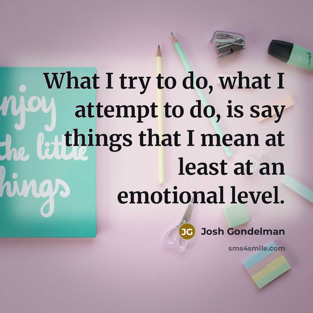 “What I try to do, what I attempt to do,…” quote by Josh Gondelman
