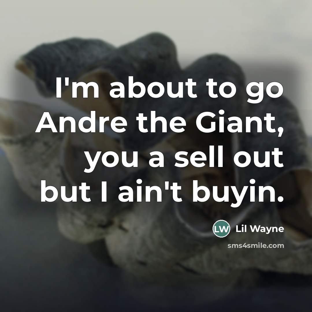 “I'm about to go Andre the Giant, you a sell out but I ain't buyin.” quote by Lil Wayne