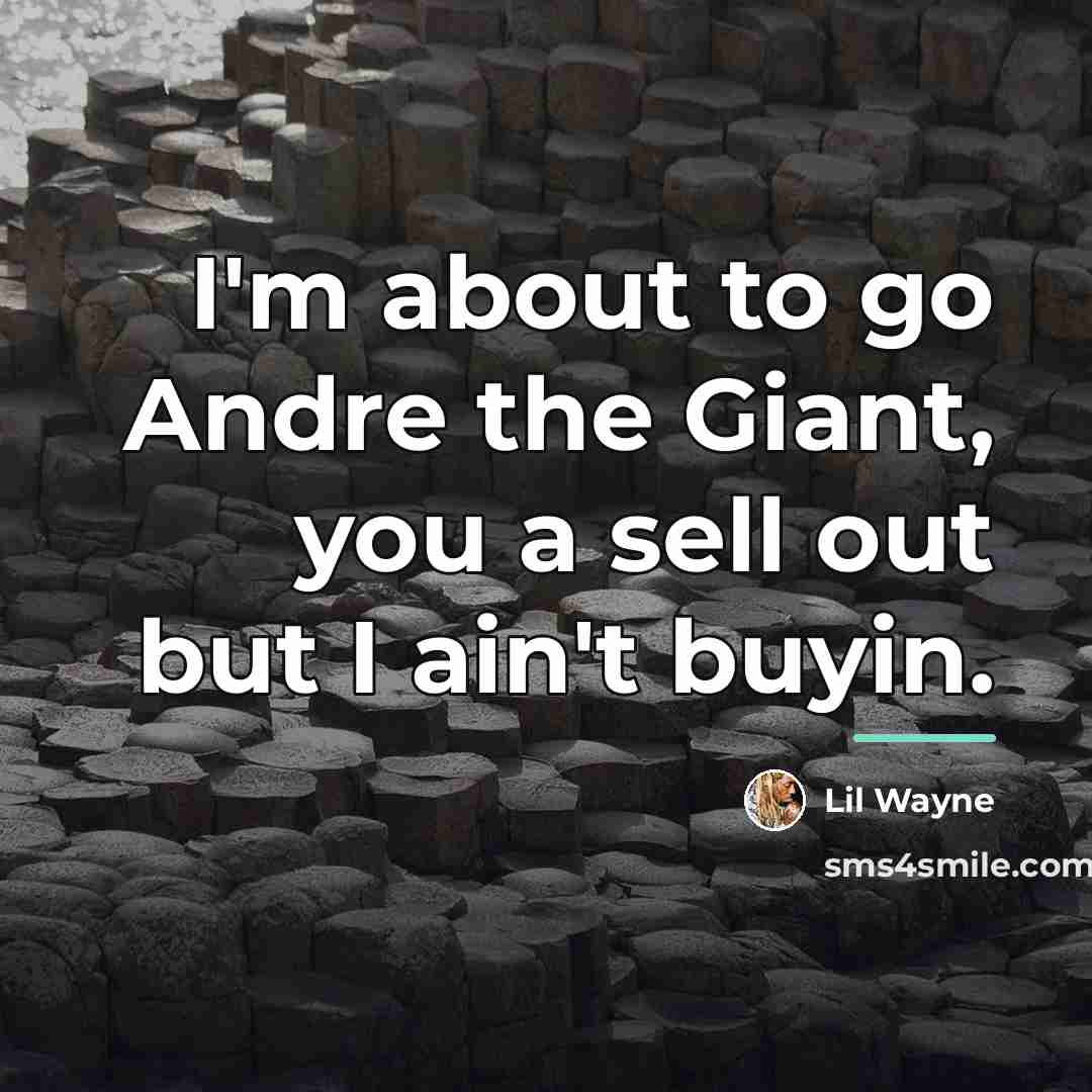 “I'm about to go Andre the Giant, you a sell…” quote by Lil Wayne