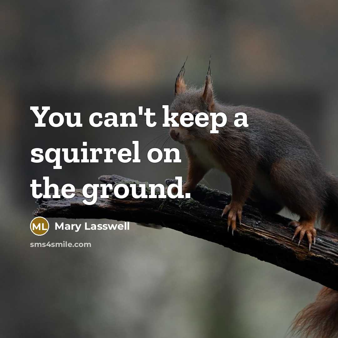“You can't keep a squirrel on the ground.” quote by Mary Lasswell