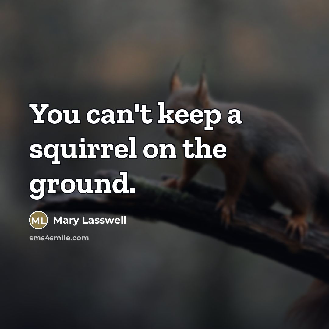 “You can't keep a squirrel on the ground.…” quote by Mary Lasswell