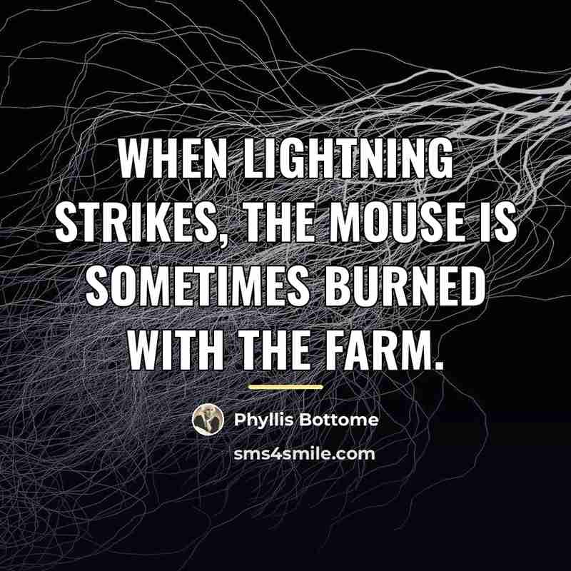 “When lightning strikes, the mouse is sometimes burned with the…” quote by Phyllis Bottome