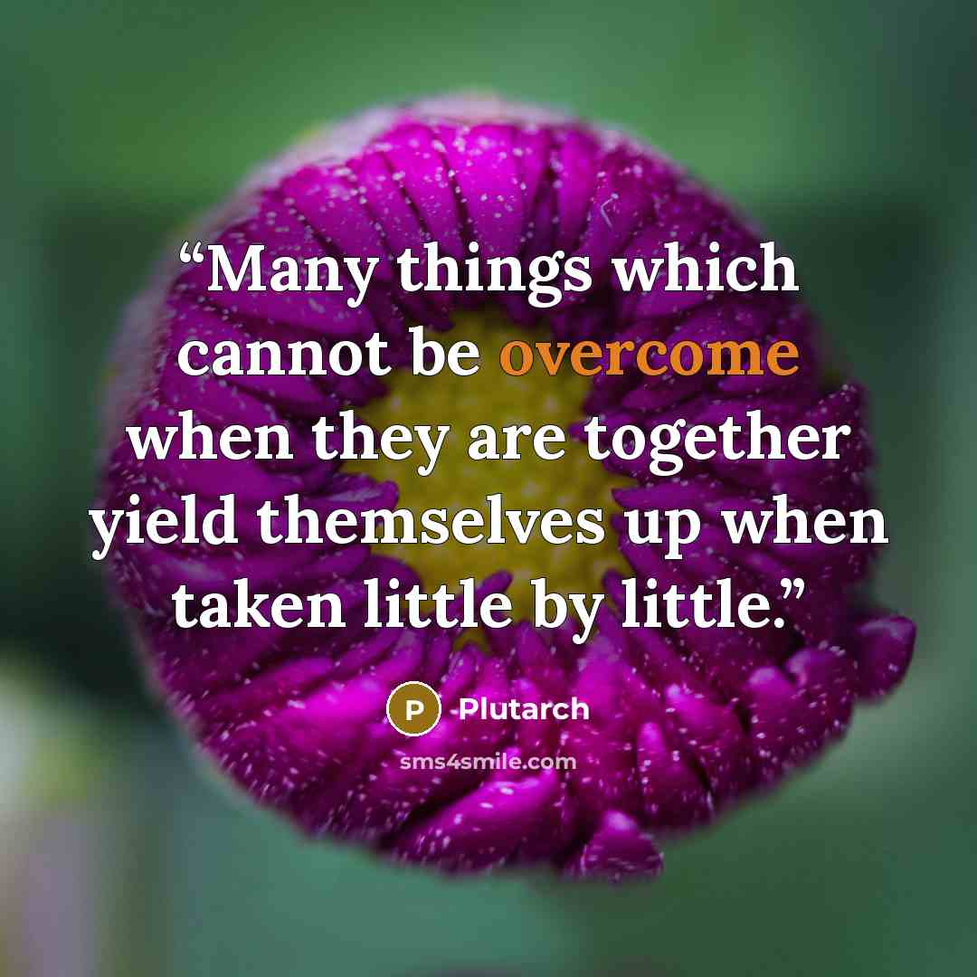 “Many things which cannot be overcome when they are together yield themselves up when taken little by little.” quote by Plutarch