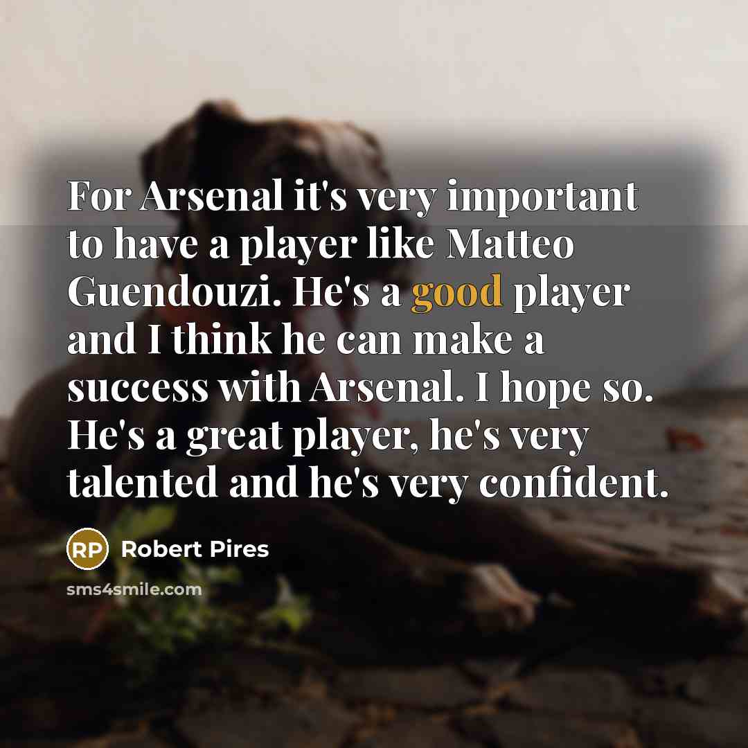 “For Arsenal it's very important to have a player like…” quote by Robert Pires