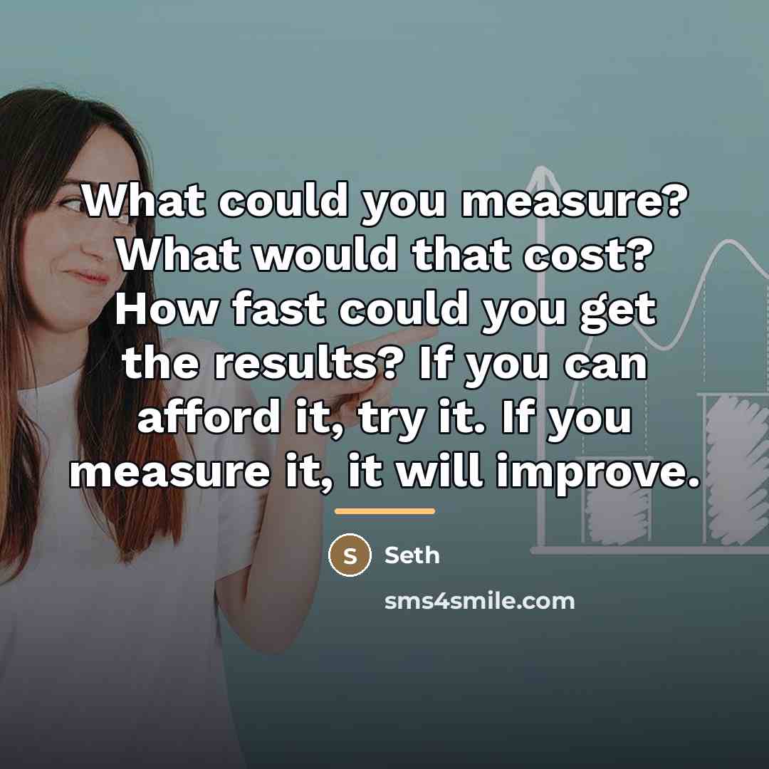 “What could you measure? What would that cost? How fast…” quote by Seth