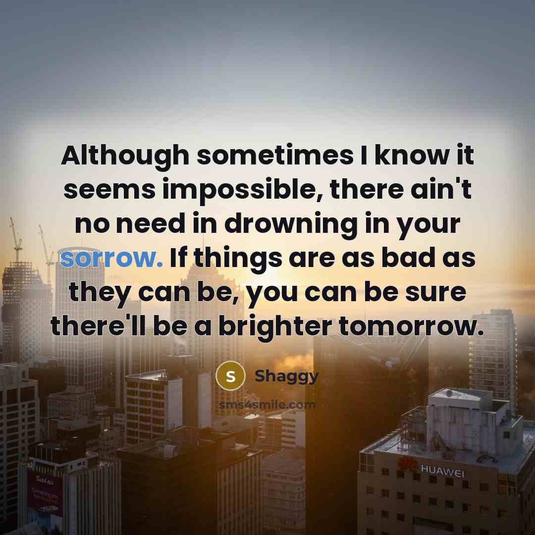 “Although sometimes I know it seems impossible, there ain't no…” quote by Shaggy