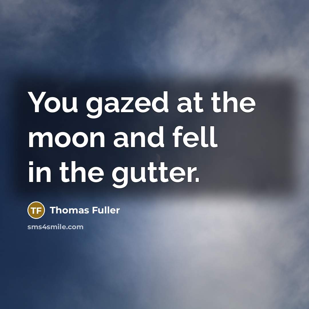 “You gazed at the moon and fell in the gutter.…” quote by Thomas Fuller