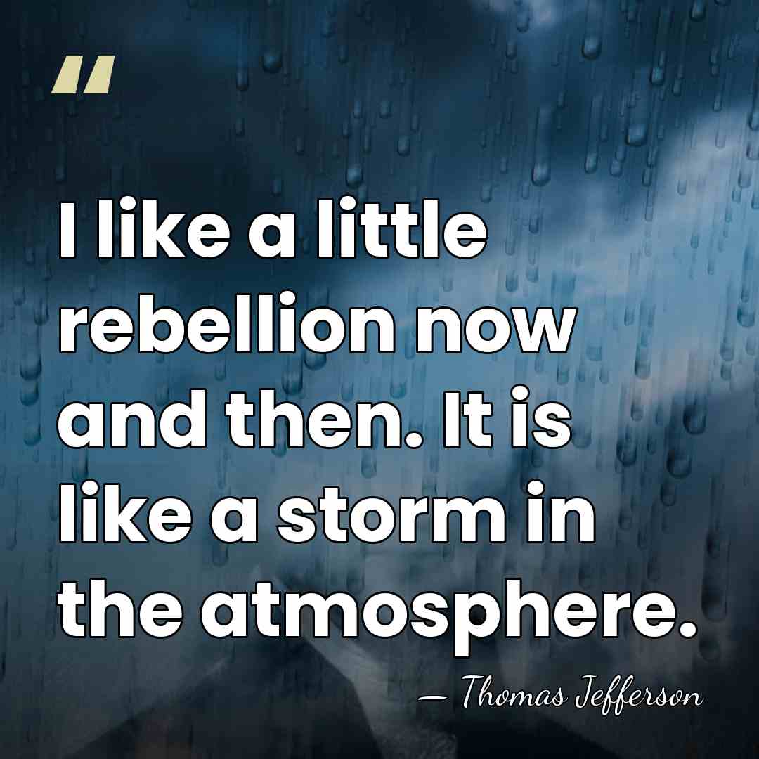 I like a little rebellion now and then. It is like a&hellip; - Thomas Jefferson
