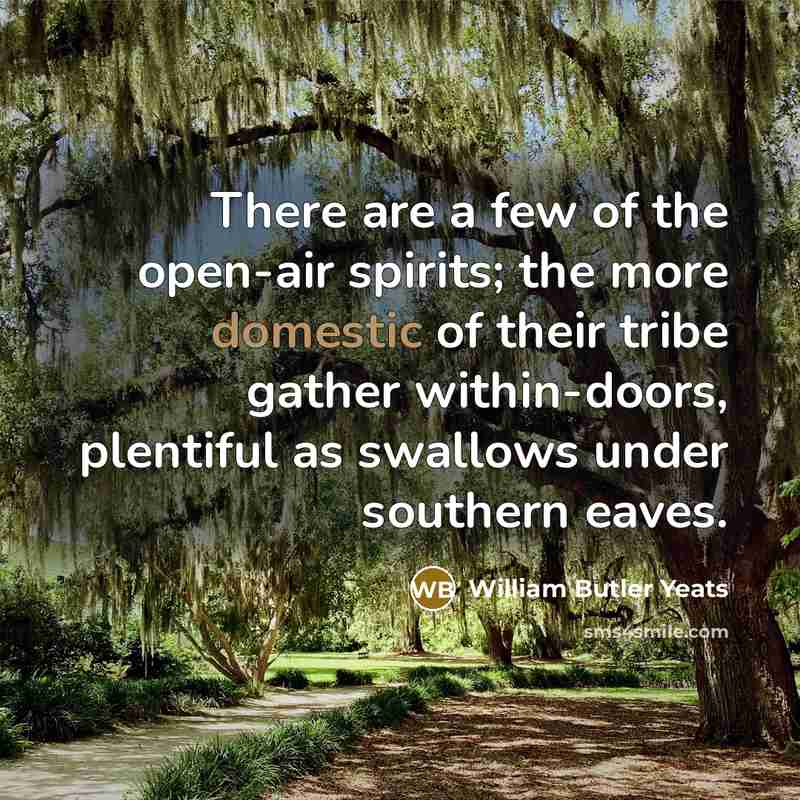 “There are a few of the open-air spirits; the more…” quote by William Butler Yeats