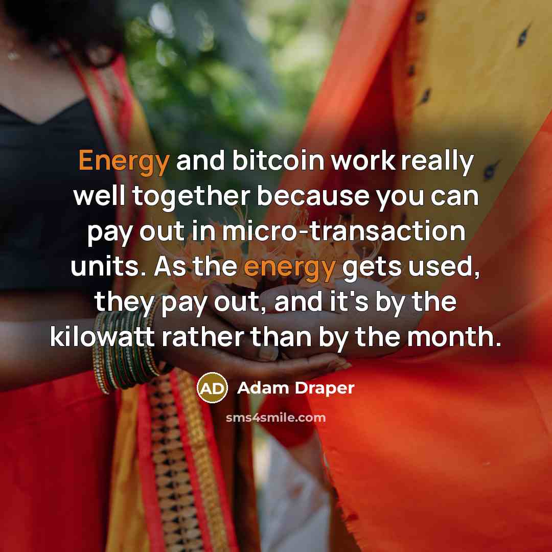 “Energy and bitcoin work really well together because you can…” quote by Adam Draper