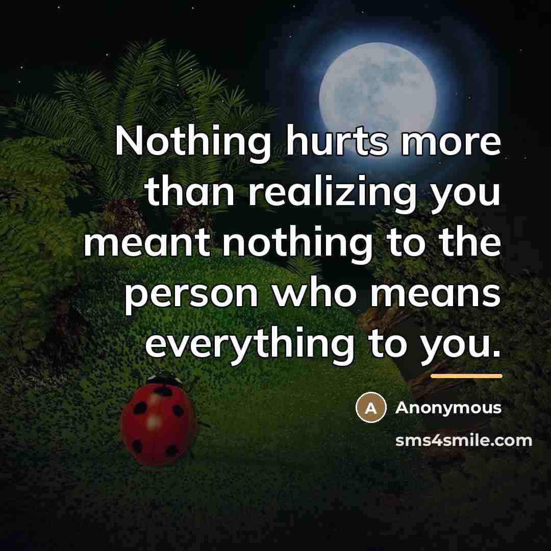 “Nothing hurts more than realizing you meant nothing to the…” quote by Anonymous