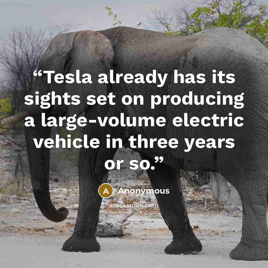 “Tesla already has its sights set on producing a large-volume electric vehicle in three years or so.” quote by Anonymous