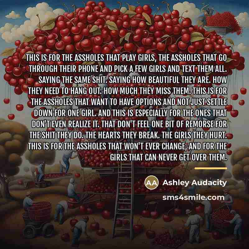 “This is for the assholes that play girls, the assholes…” quote by Ashley Audacity