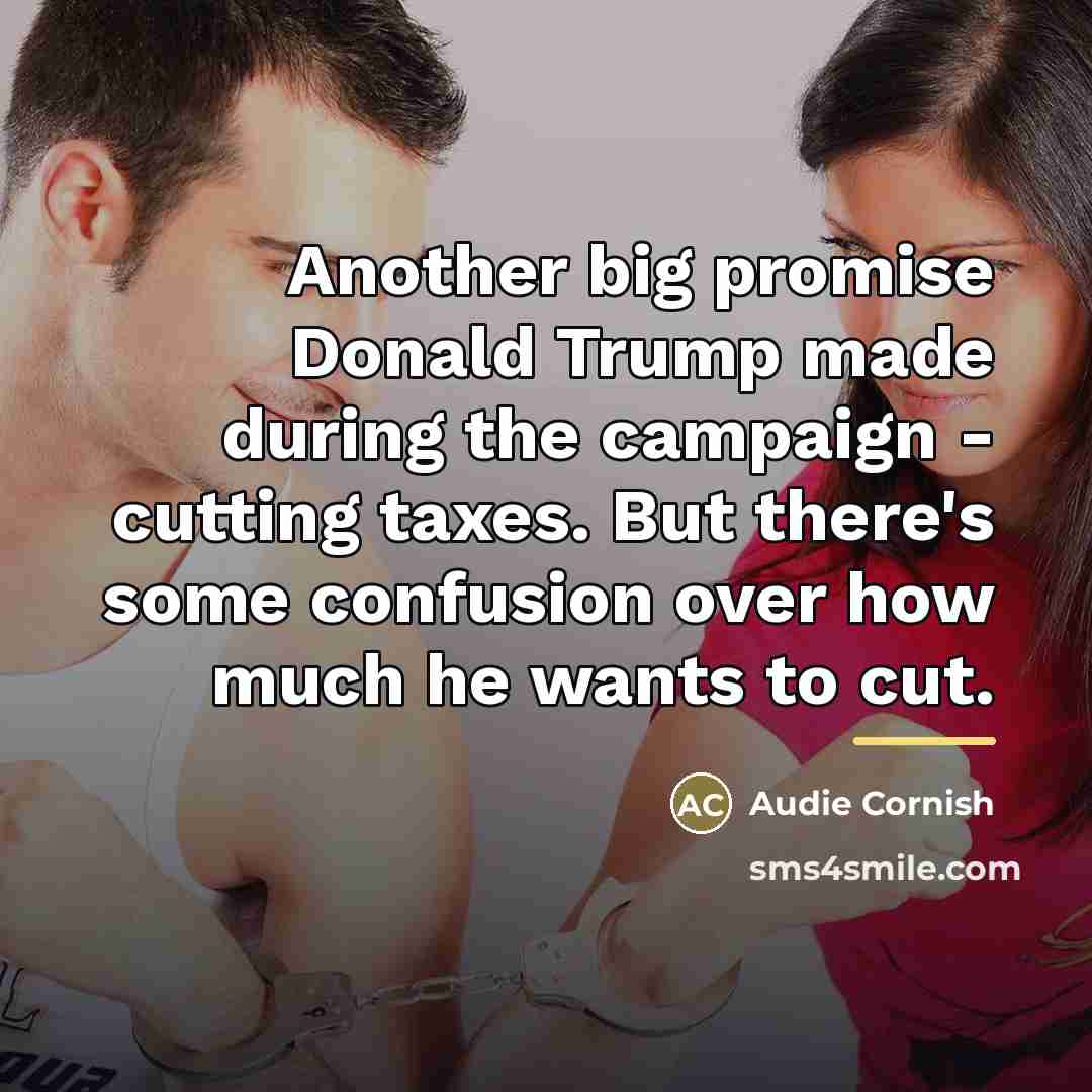 “Another big promise Donald Trump made during the campaign -…” quote by Audie Cornish