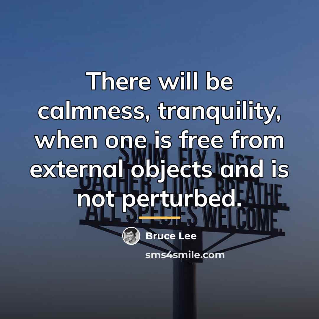 “There will be calmness, tranquility, when one is free from…” quote by Bruce Lee
