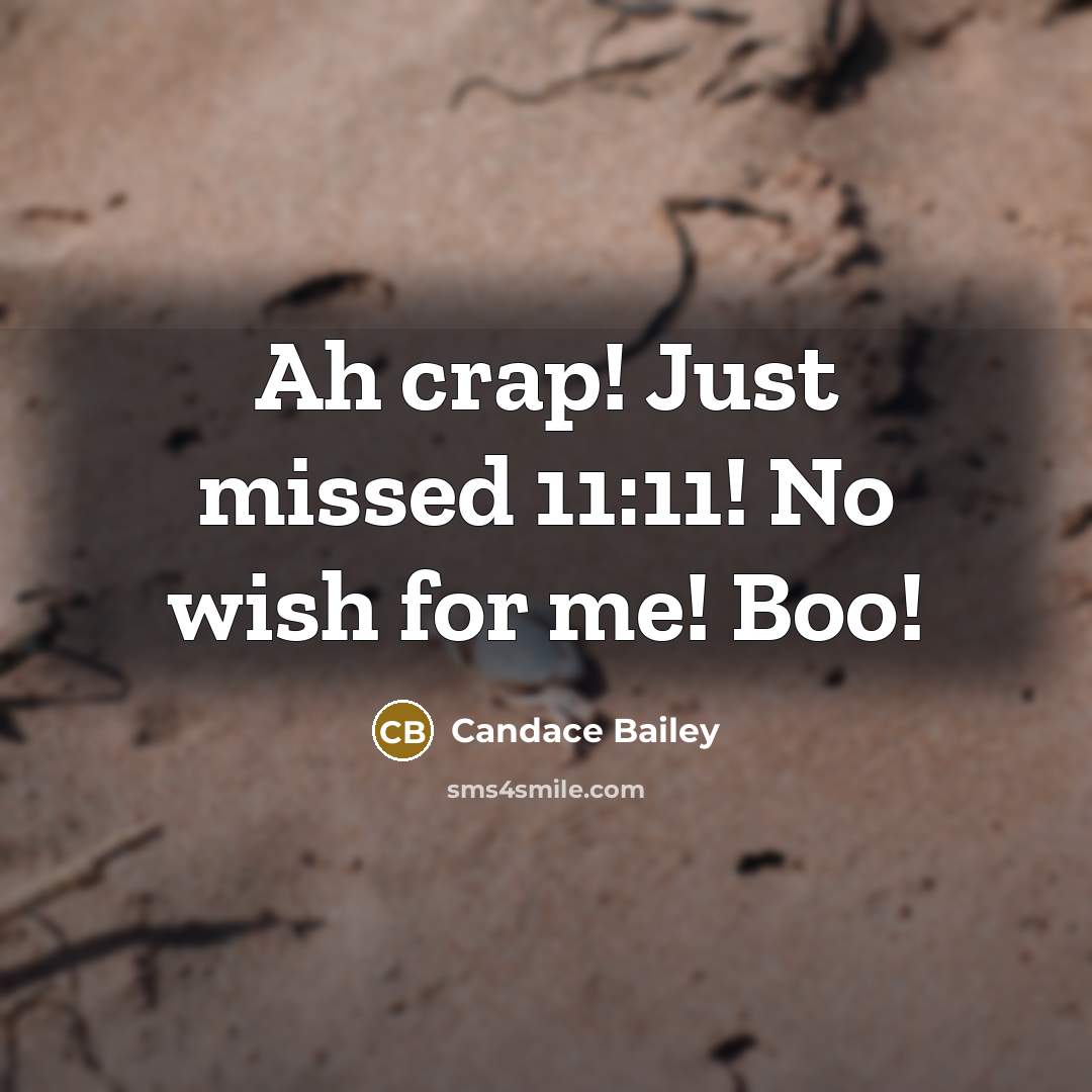 “Ah crap! Just missed 11:11! No wish for me! Boo!…” quote by Candace Bailey