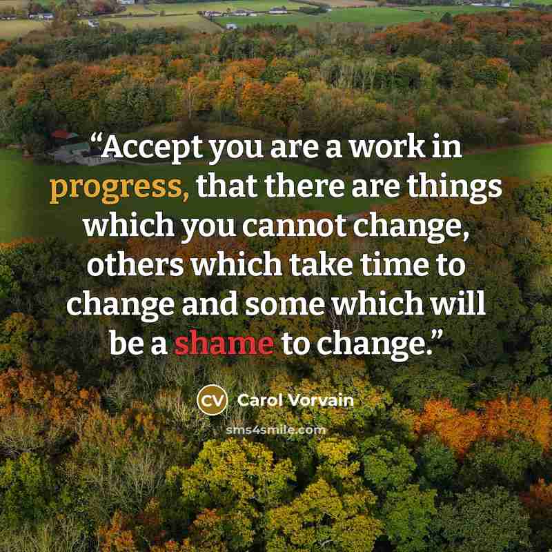 “Accept you are a work in progress, that there are things which you cannot change, others which take time to change and some which will be a shame to change.” quote by Carol Vorvain