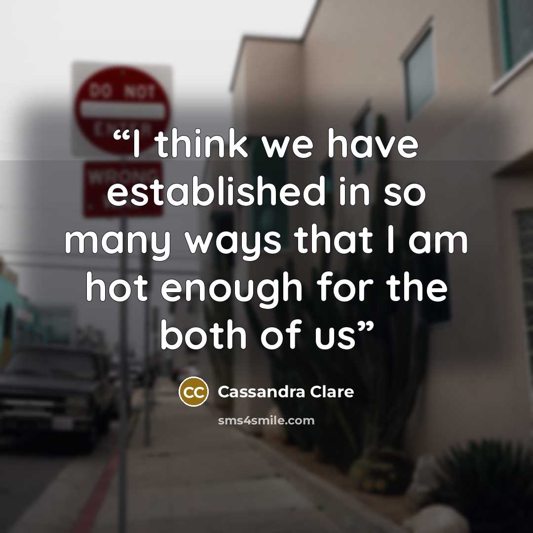 “I think we have established in so many ways that I am hot enough for the both of us” quote by Cassandra Clare