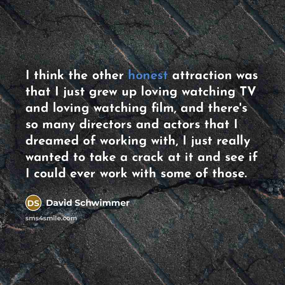 “I think the other honest attraction was that I just…” quote by David Schwimmer