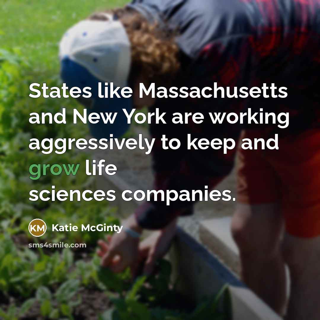 “States like Massachusetts and New York are working aggressively to…” quote by Katie McGinty