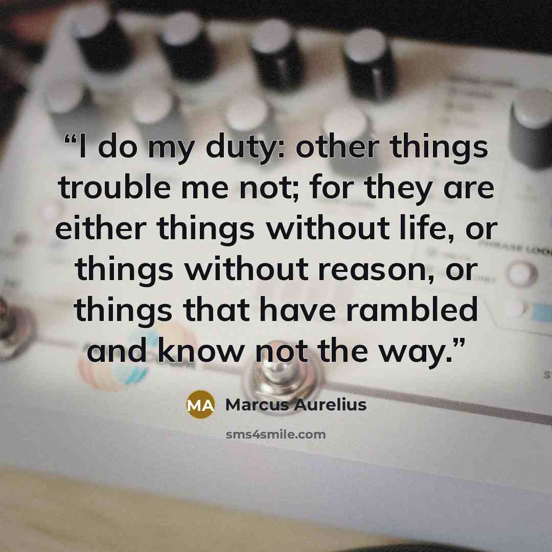 “I do my duty: other things trouble me not; for they are either things without life, or things without reason, or things that have rambled and know not the way.” quote by Marcus Aurelius