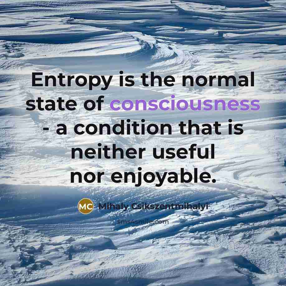 “Entropy is the normal state of consciousness - a condition…” quote by Mihaly Csikszentmihalyi