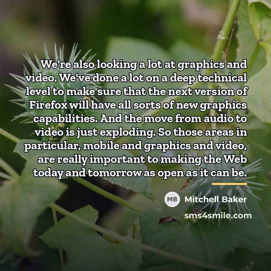 “We're also looking a lot at graphics and video. We've…” quote by Mitchell Baker