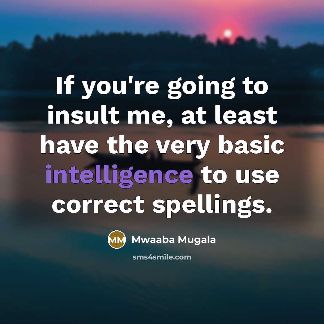 “If you're going to insult me, at least have the…” quote by Mwaaba Mugala