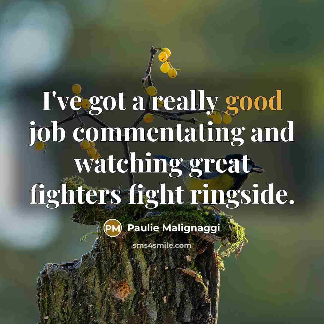 “I've got a really good job commentating and watching great…” quote by Paulie Malignaggi