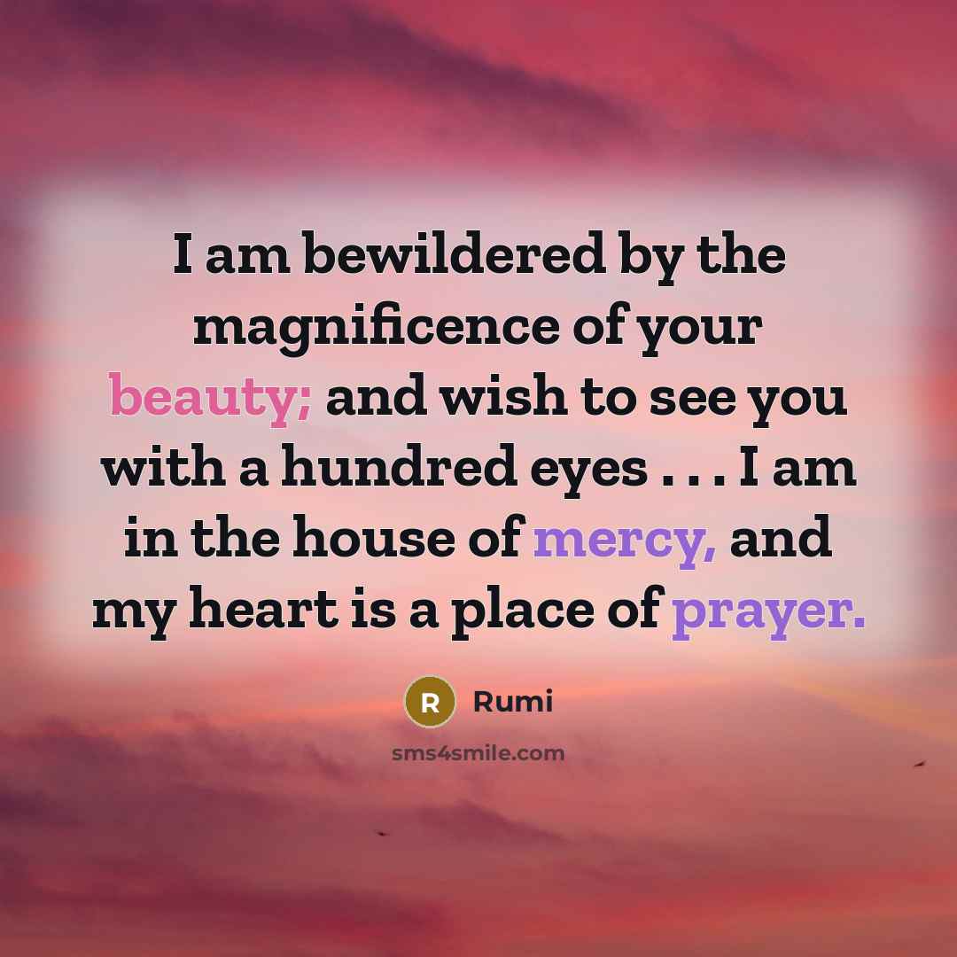 “I am bewildered by the magnificence of your beauty; and…” quote by Rumi