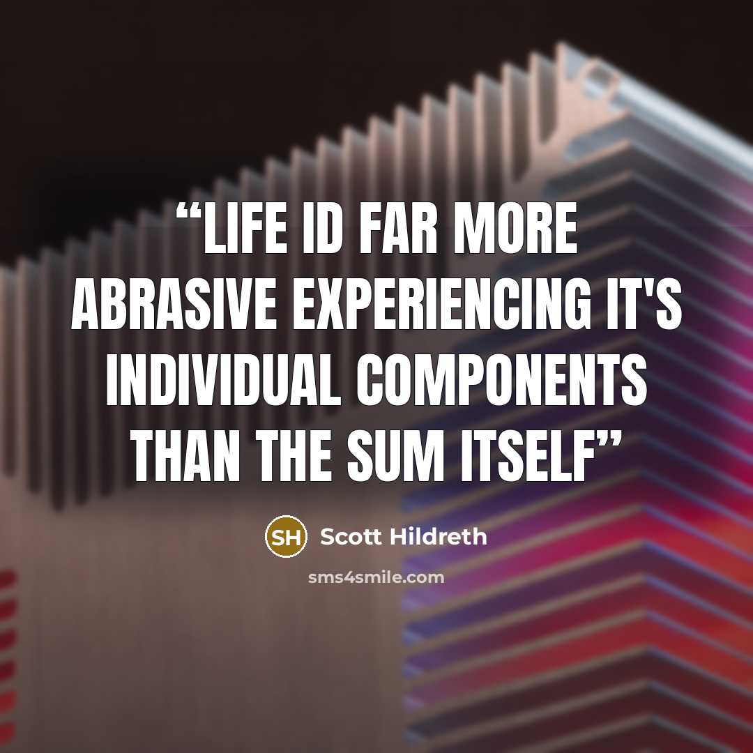 “Life id far more abrasive experiencing it's individual components than the sum itself” quote by Scott Hildreth