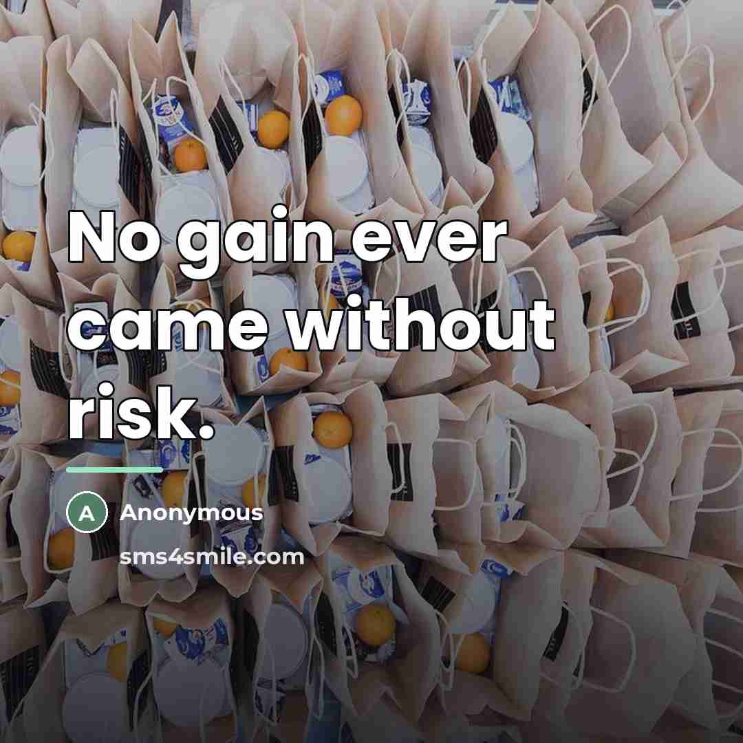 “No gain ever came without risk.…” quote by Anonymous