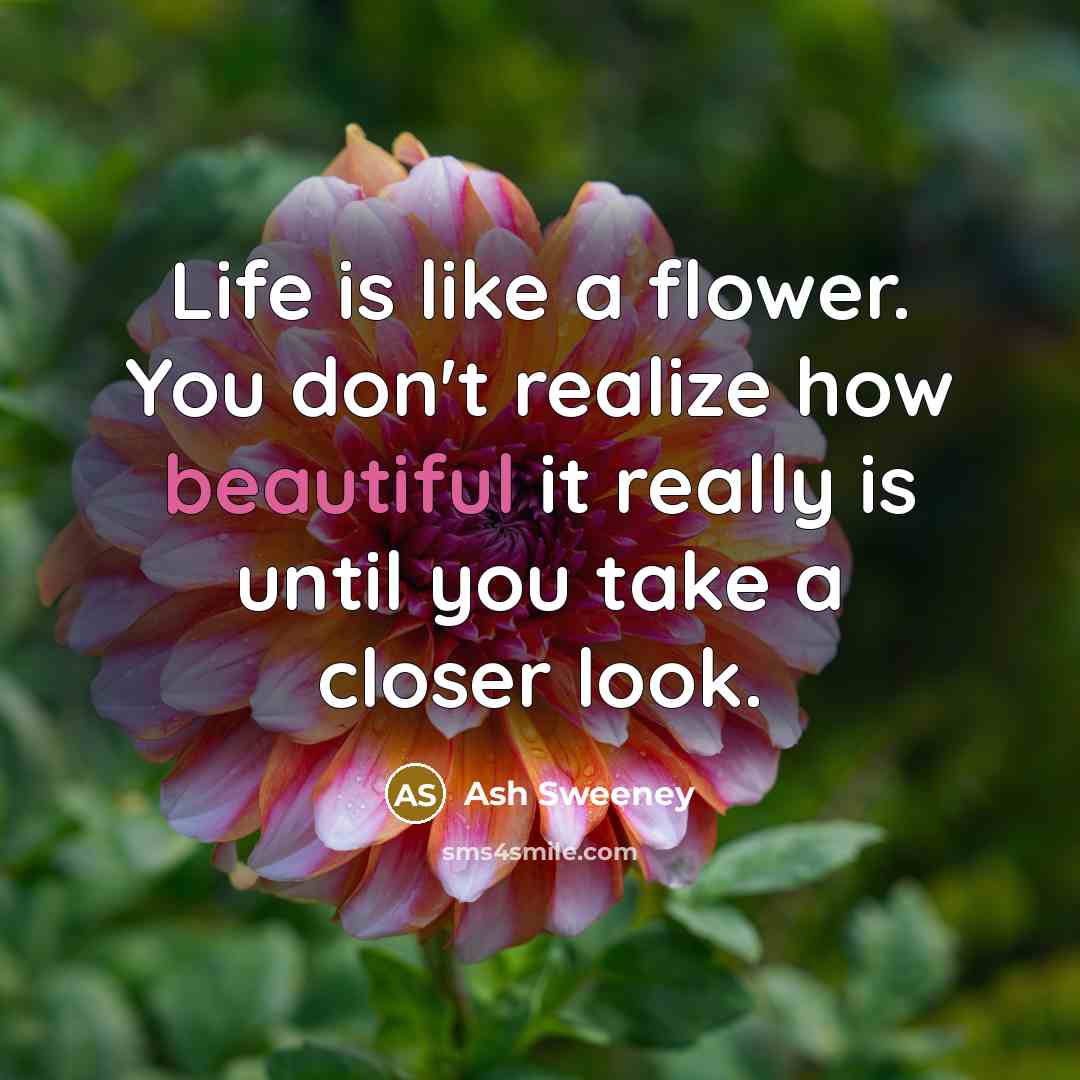 “Life is like a flower. You don't realize how beautiful…” quote by Ash Sweeney