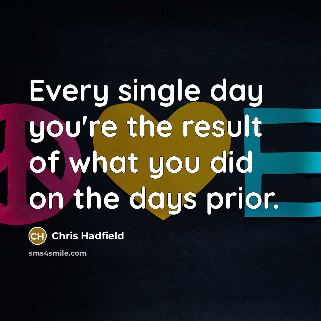 “Every single day you're the result of what you did…” quote by Chris Hadfield