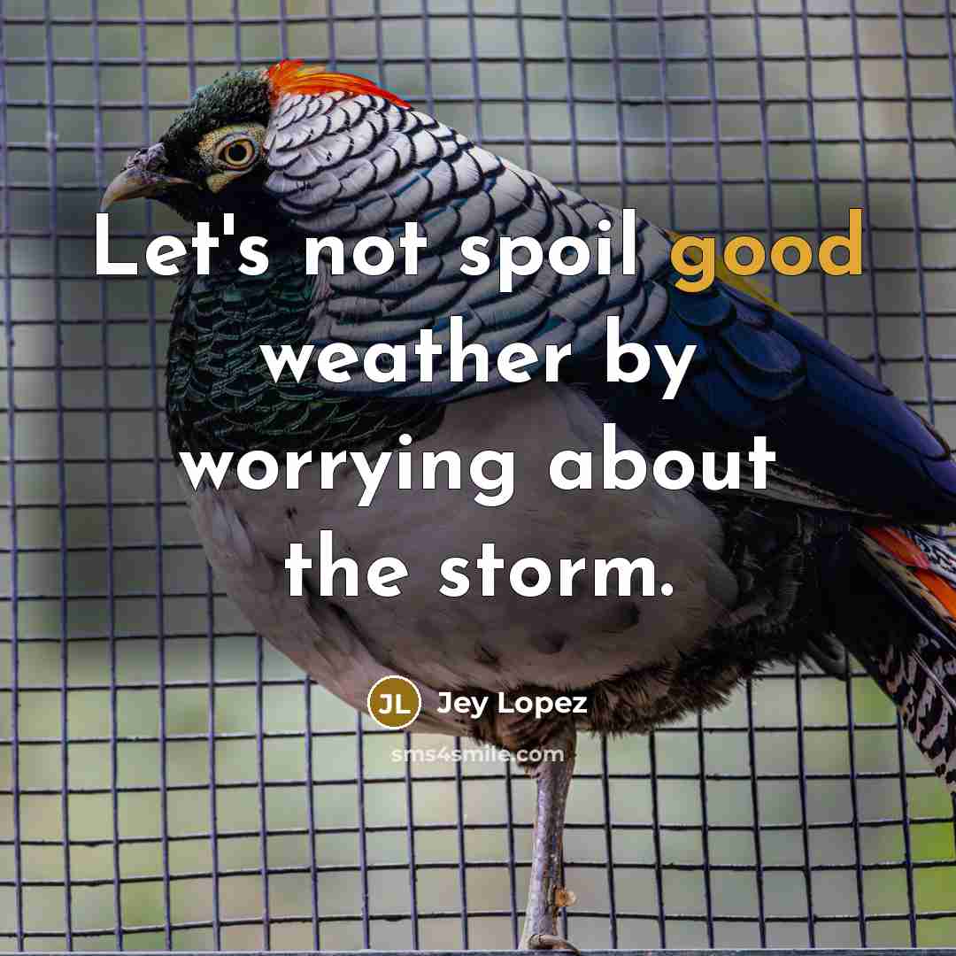 “Let's not spoil good weather by worrying about the storm.…” quote by Jey Lopez