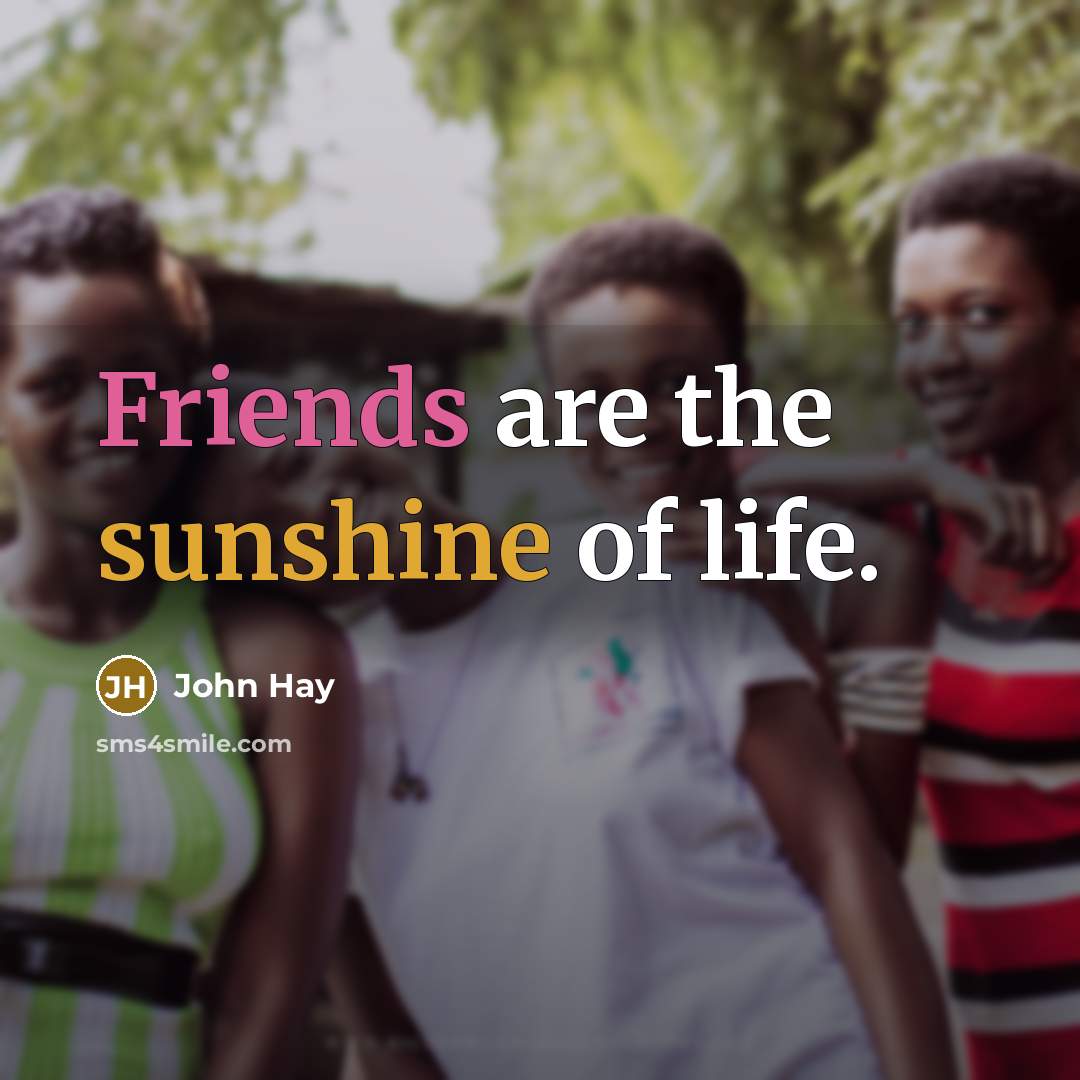 “Friends are the sunshine of life.…” quote by John Hay