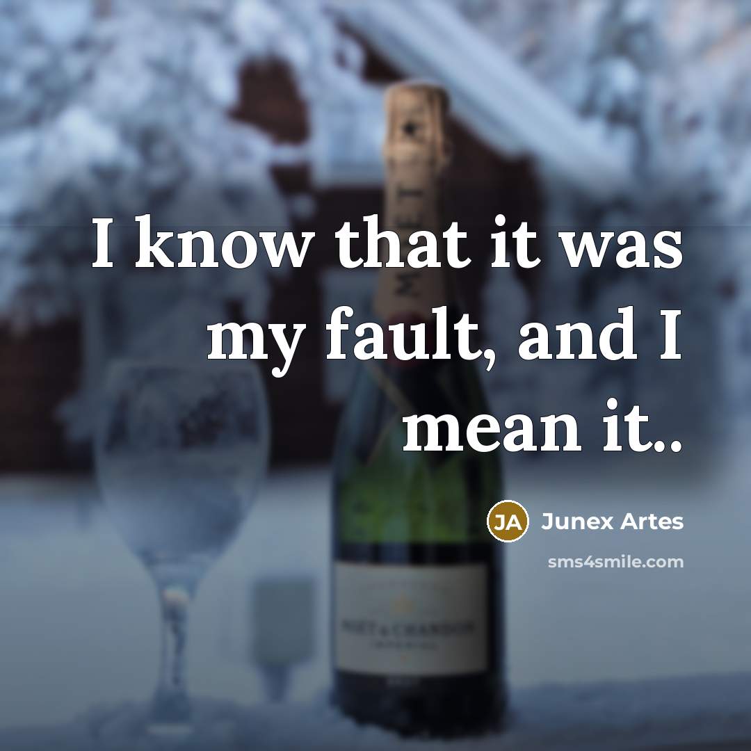 “I know that it was my fault, and I mean it..” quote by Junex Artes