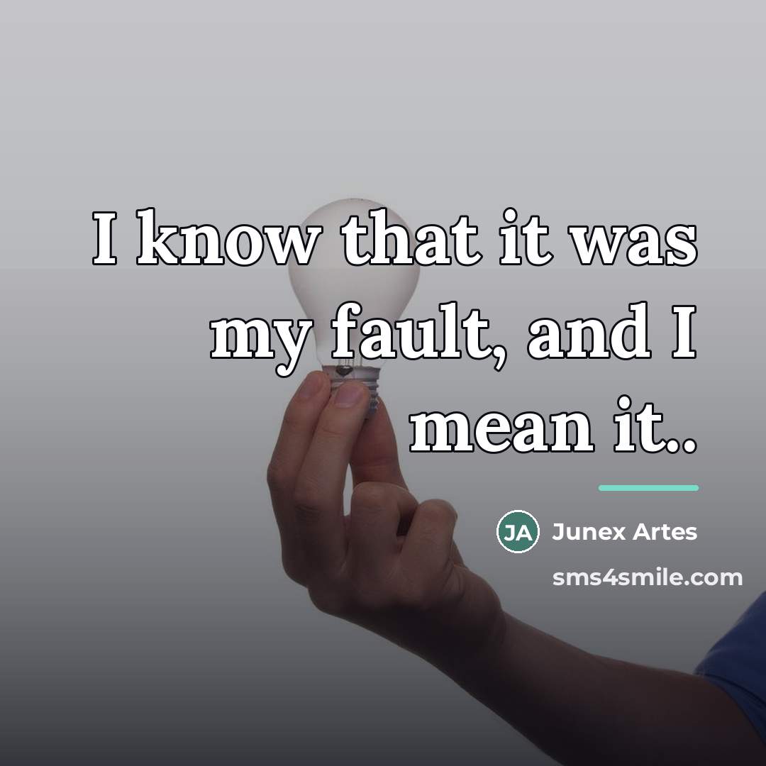 “I know that it was my fault, and I mean…” quote by Junex Artes