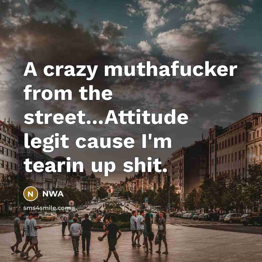 “A crazy muthafucker from the street...Attitude legit cause I'm tearin…” quote by NWA