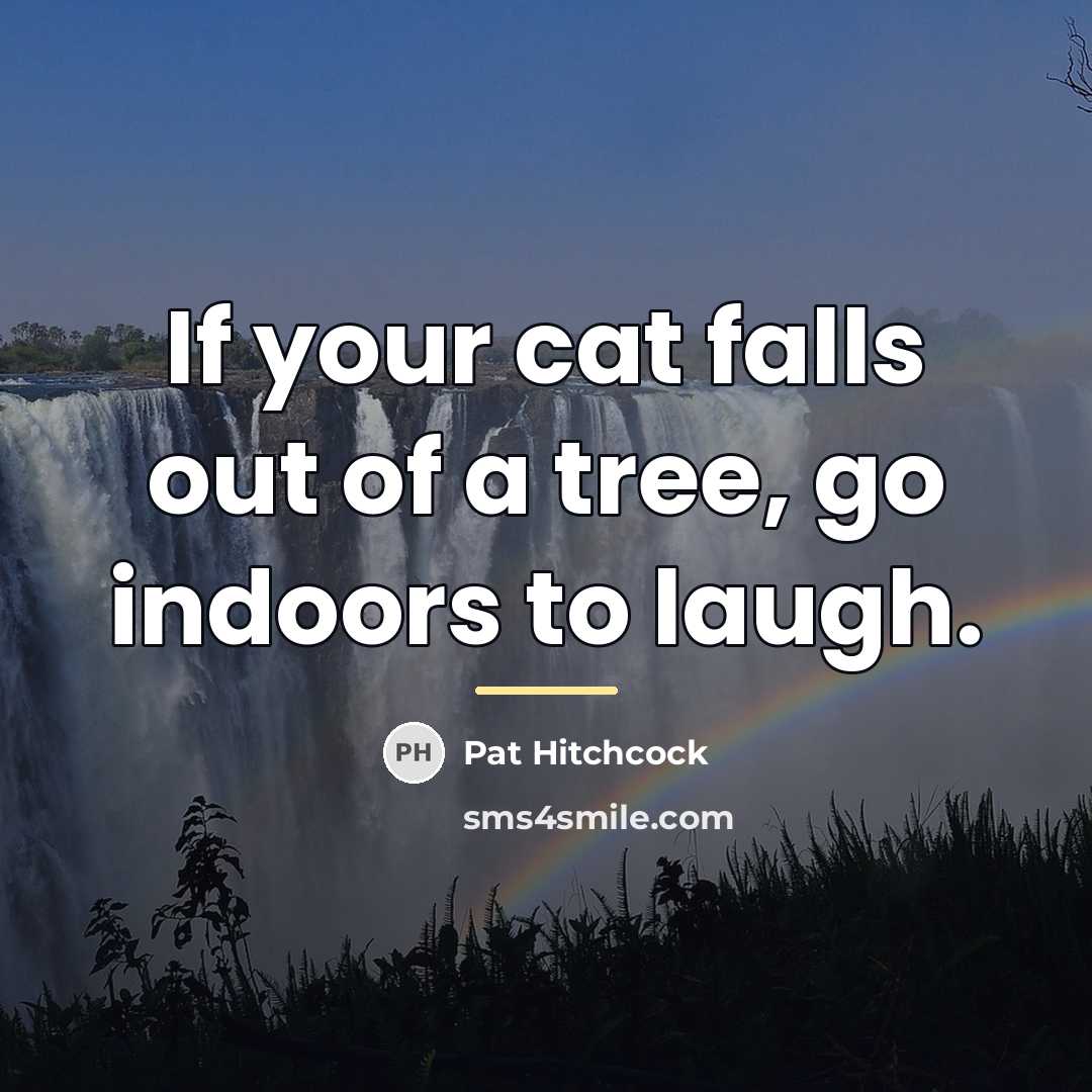 “If your cat falls out of a tree, go indoors…” quote by Pat Hitchcock