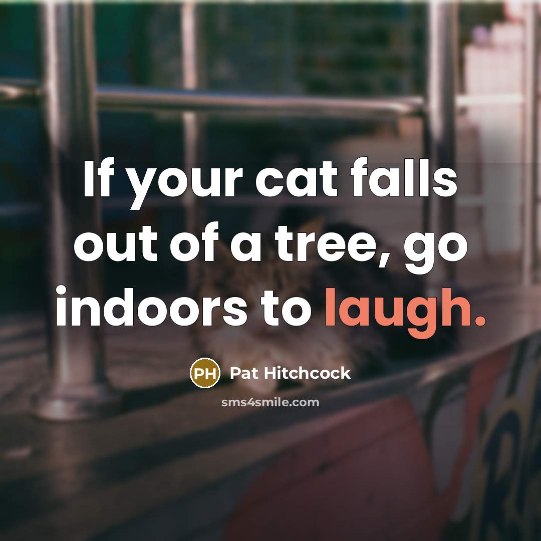 “If your cat falls out of a tree, go indoors to laugh.” quote by Pat Hitchcock