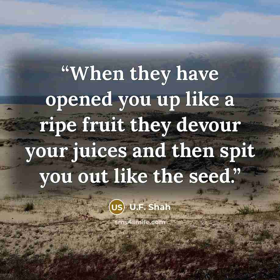 “When they have opened you up like a ripe fruit they devour your juices and then spit you out like the seed.” quote by U.F. Shah