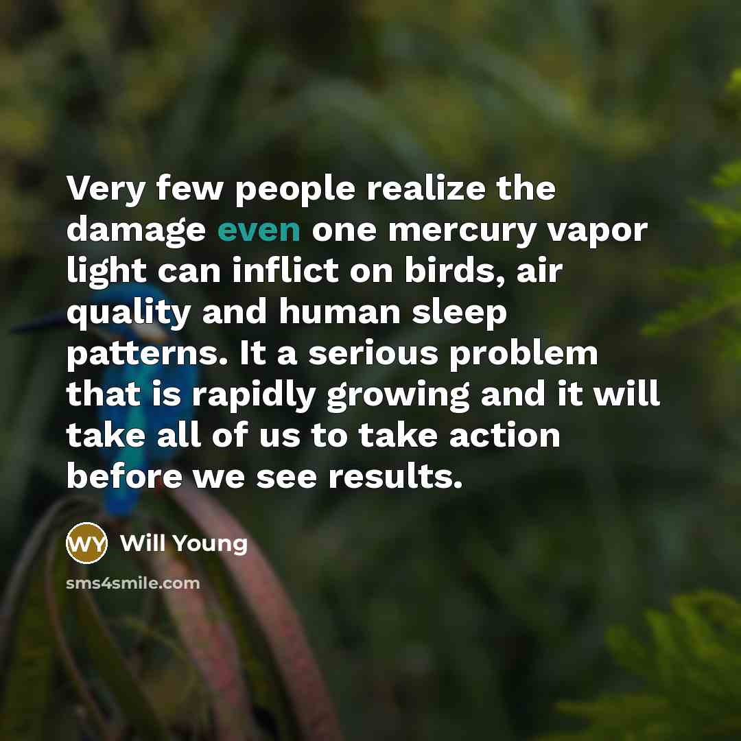 “Very few people realize the damage even one mercury vapor…” quote by Will Young