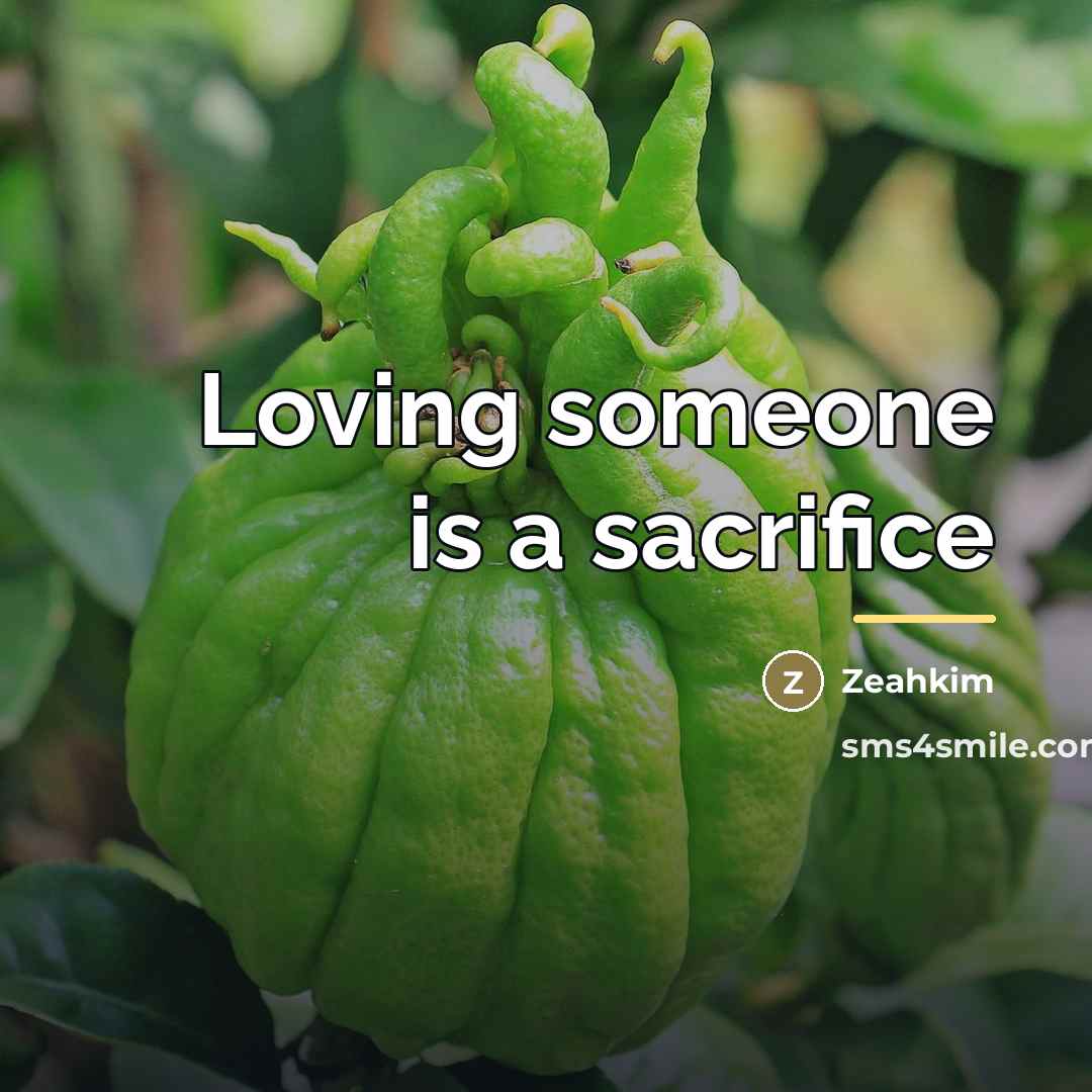 “Loving someone is a sacrifice…” quote by Zeahkim