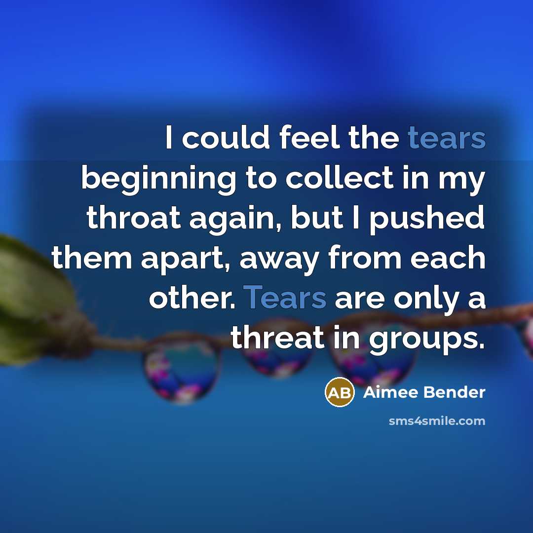 “I could feel the tears beginning to collect in my…” quote by Aimee Bender