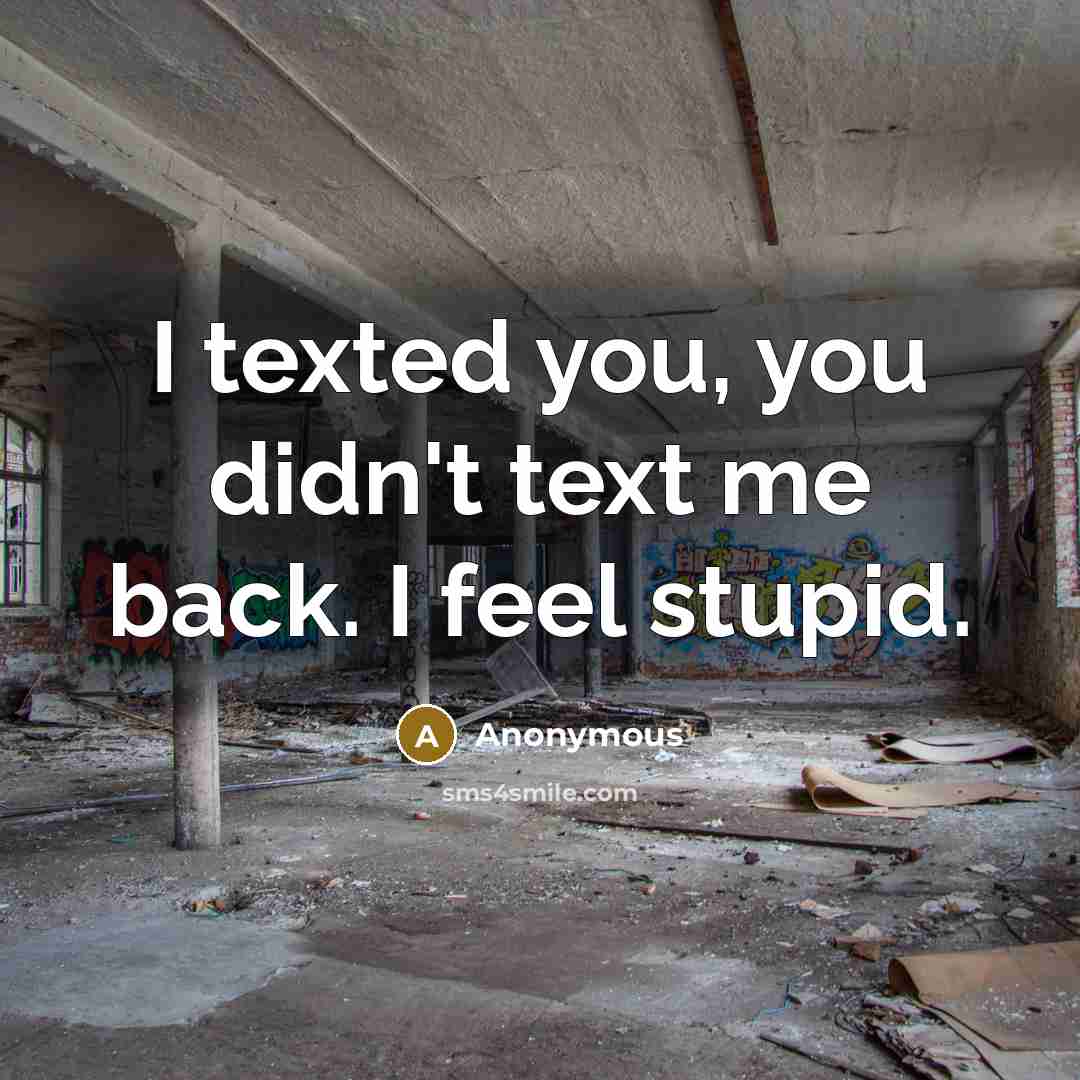 “I texted you, you didn't text me back. I feel…” quote by Anonymous
