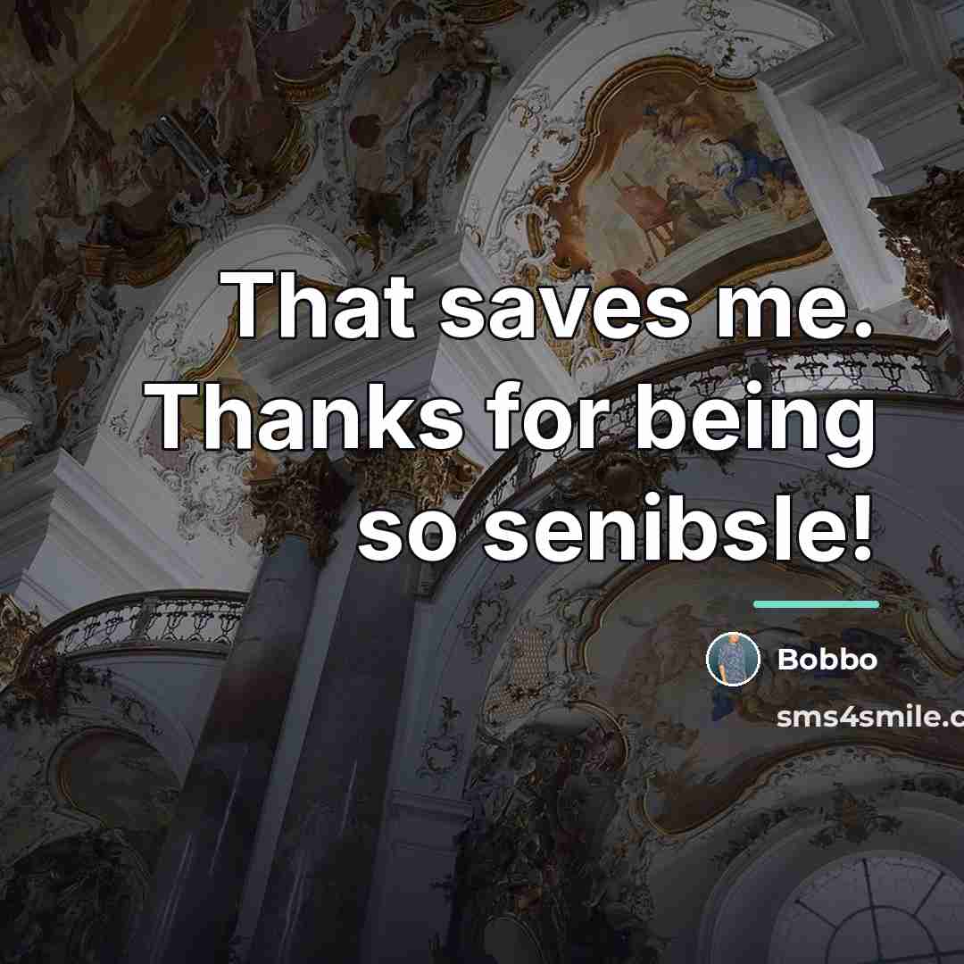 “That saves me. Thanks for being so senibsle!…” quote by Bobbo