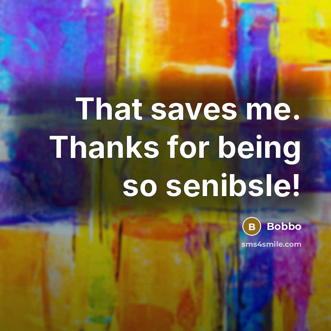“That saves me. Thanks for being so senibsle!” quote by Bobbo