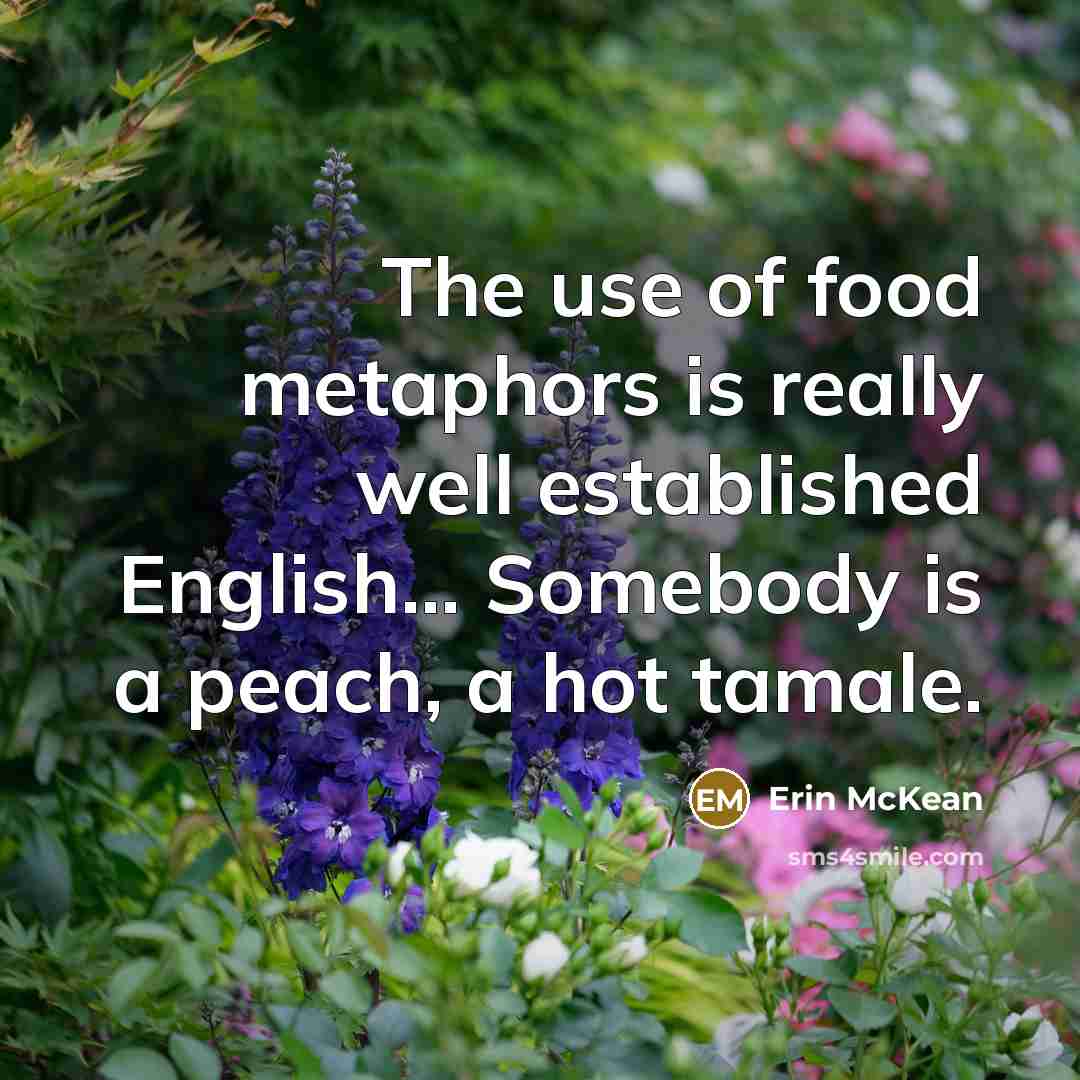“The use of food metaphors is really well established English...…” quote by Erin McKean